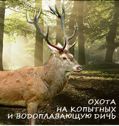 Охота